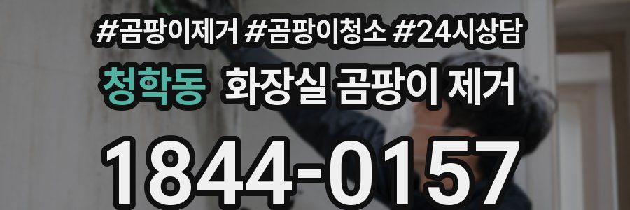 청학동 화장실 곰팡이 제거