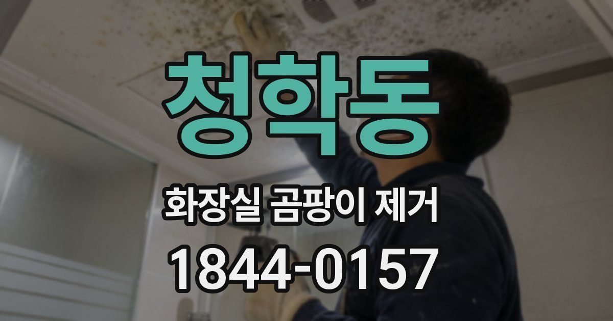 청학동 화장실 곰팡이 제거