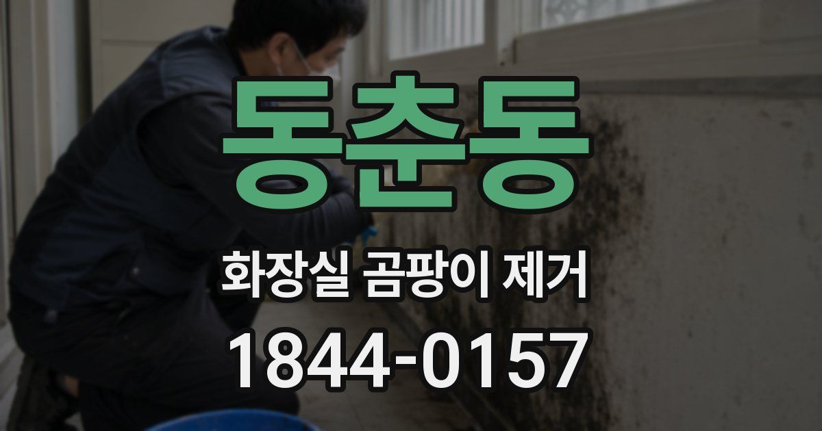 동춘동 화장실 곰팡이 제거