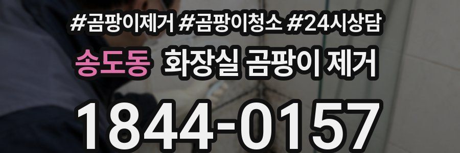 송도동 화장실 곰팡이 제거
