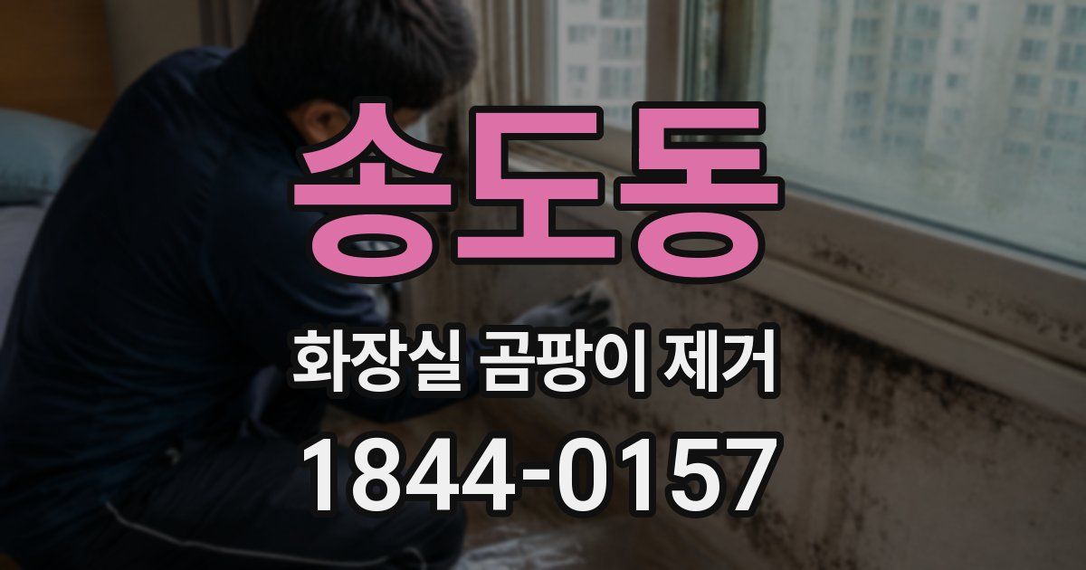 송도동 화장실 곰팡이 제거