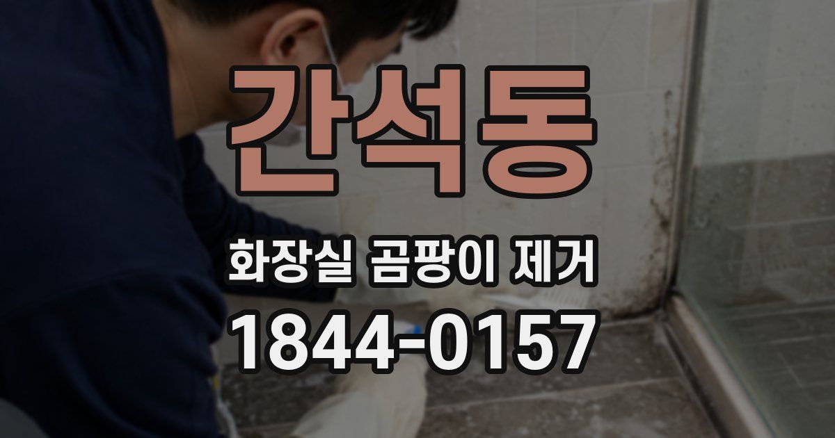 간석동 화장실 곰팡이 제거