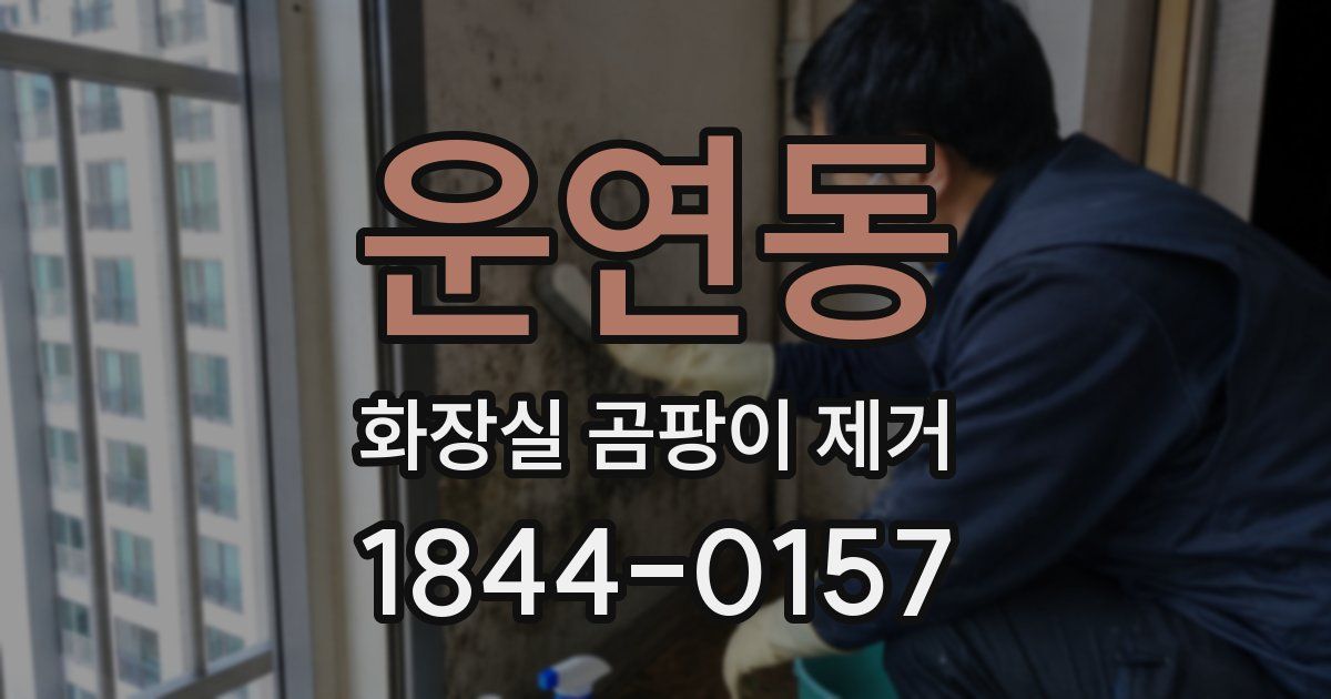 운연동 화장실 곰팡이 제거