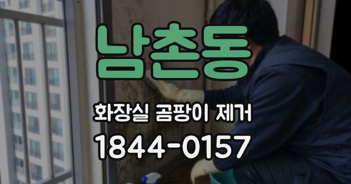 남촌동 화장실 곰팡이 제거