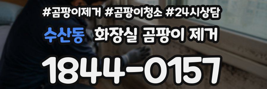 수산동 화장실 곰팡이 제거