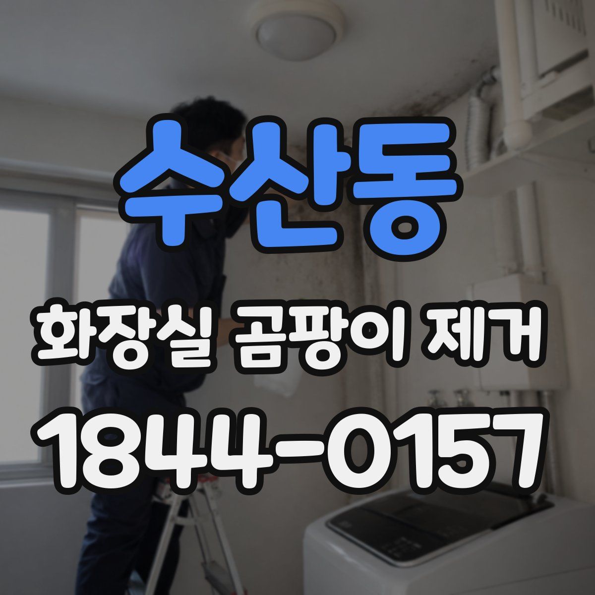 수산동 화장실 곰팡이 제거