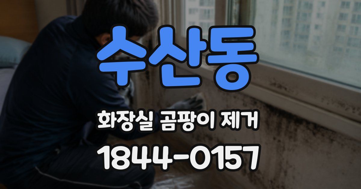 수산동 화장실 곰팡이 제거