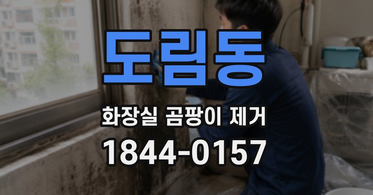 도림동 화장실 곰팡이 제거