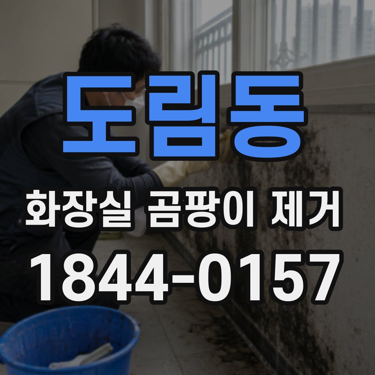 도림동 화장실 곰팡이 제거