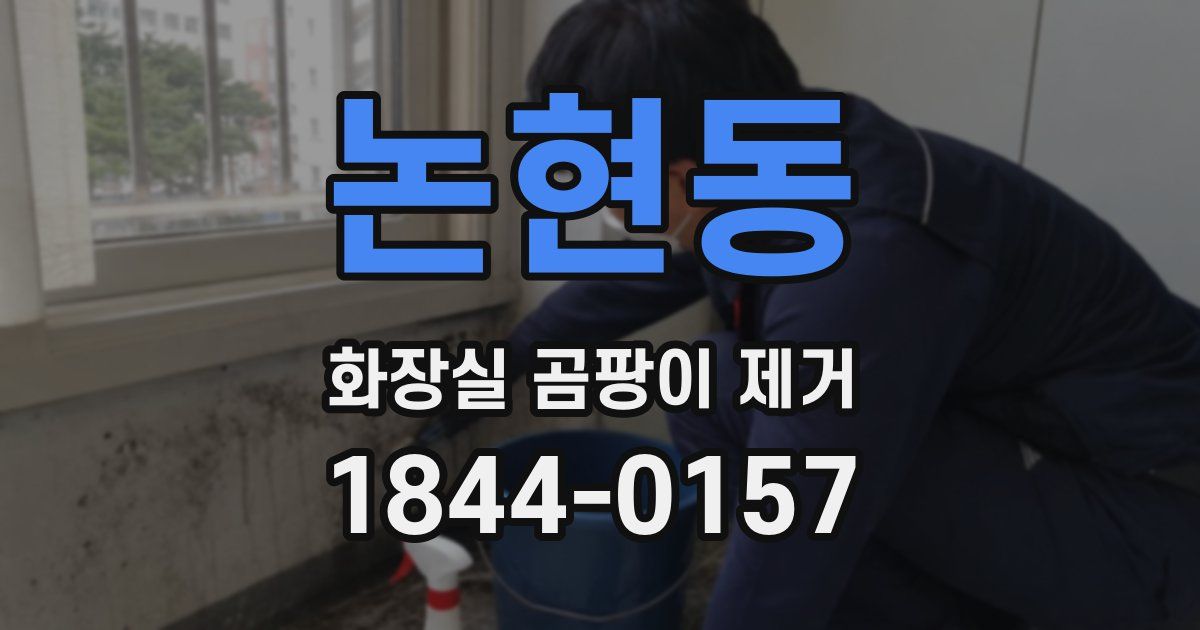 논현동 화장실 곰팡이 제거
