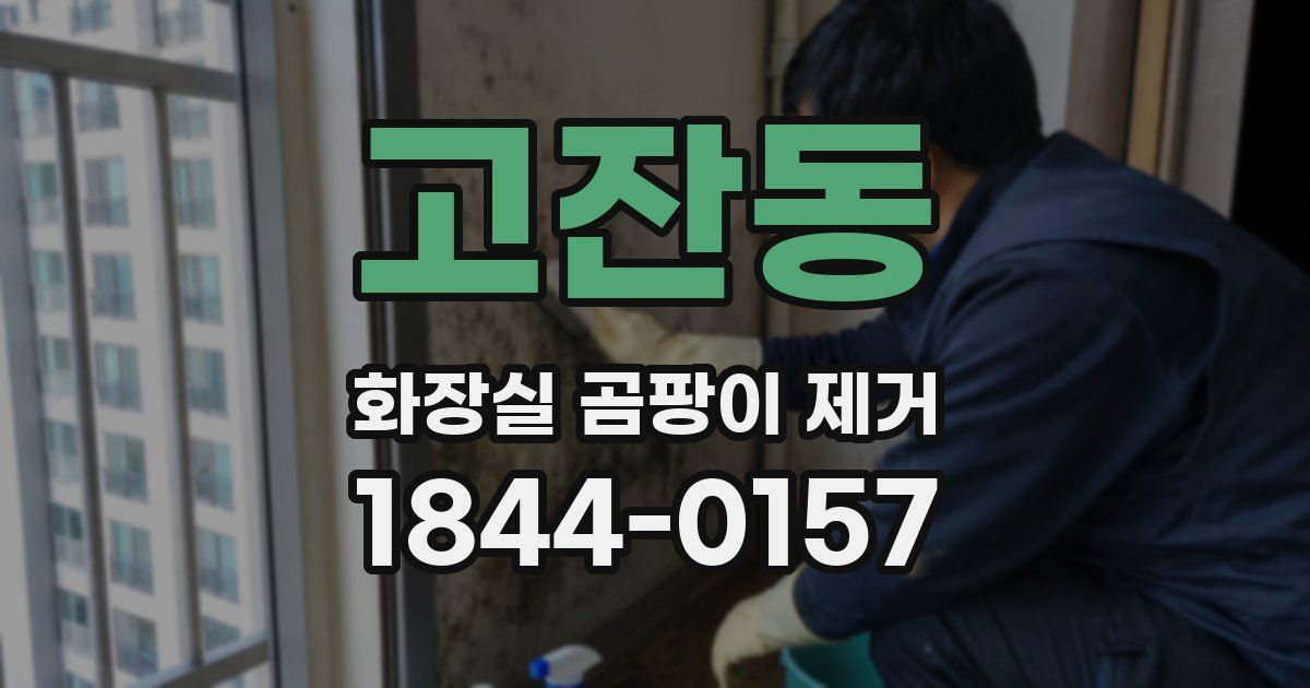 고잔동 화장실 곰팡이 제거