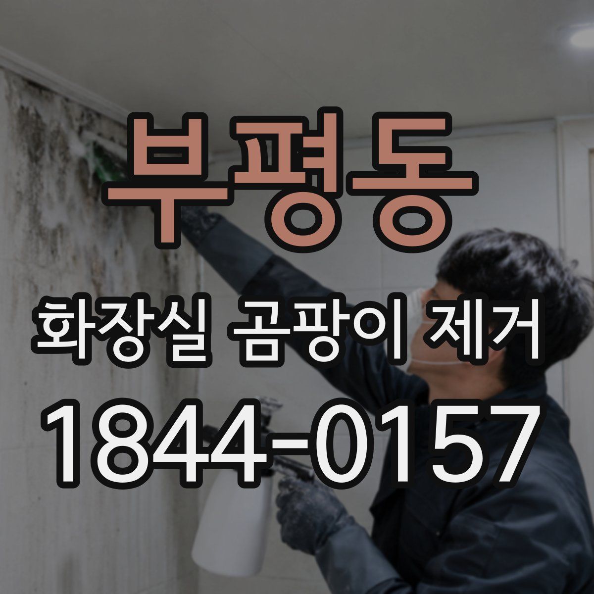 부평동 화장실 곰팡이 제거