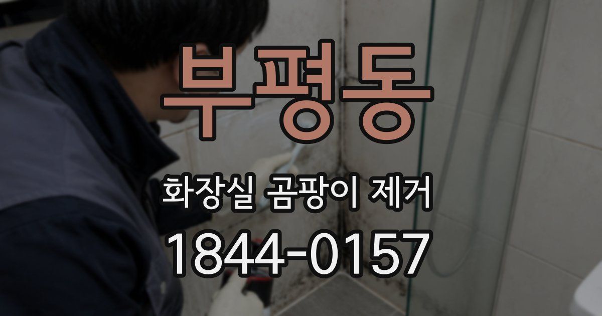 부평동 화장실 곰팡이 제거