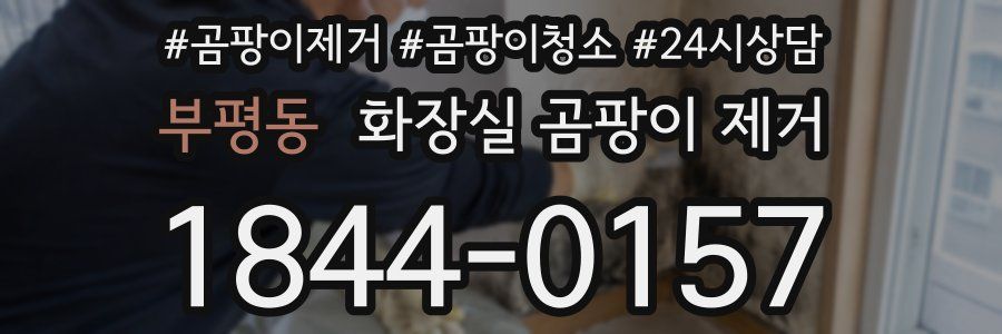 부평동 화장실 곰팡이 제거
