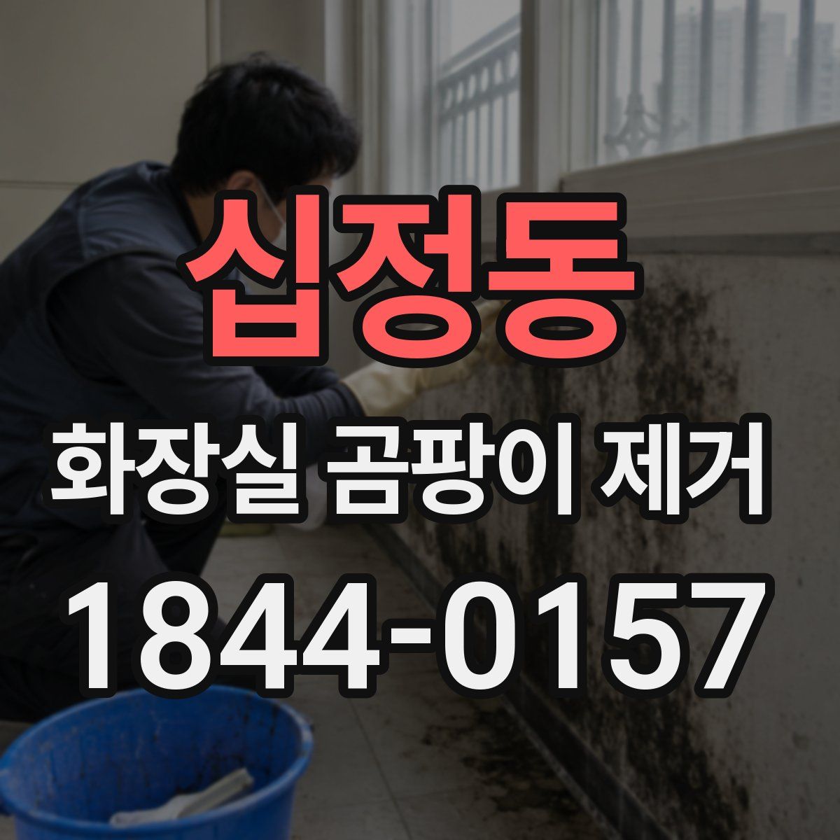 십정동 화장실 곰팡이 제거