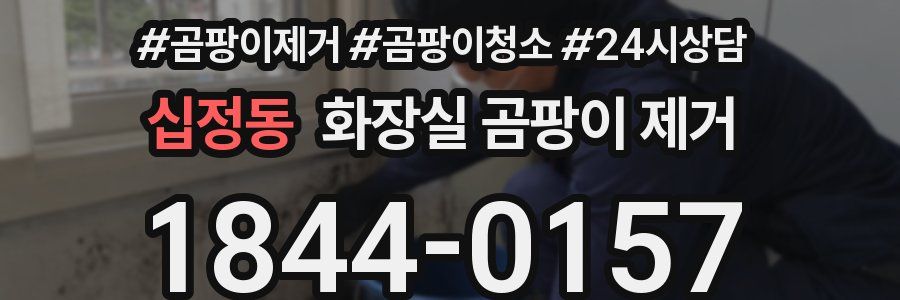 십정동 화장실 곰팡이 제거