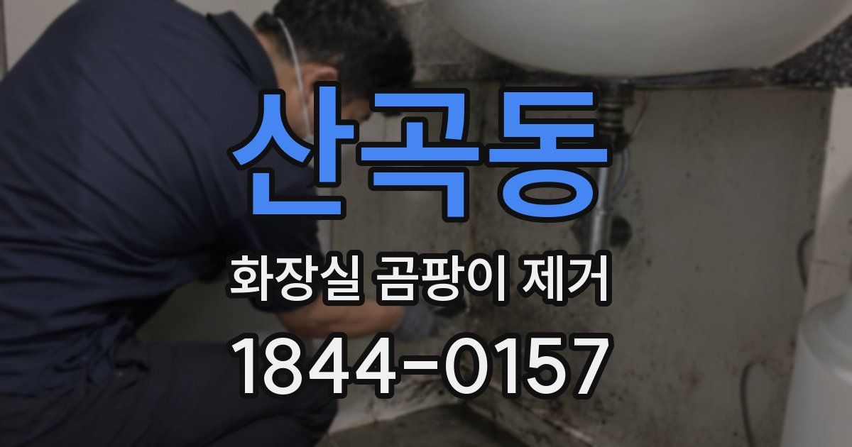 산곡동 화장실 곰팡이 제거