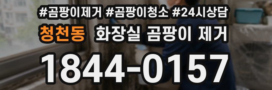 청천동 화장실 곰팡이 제거