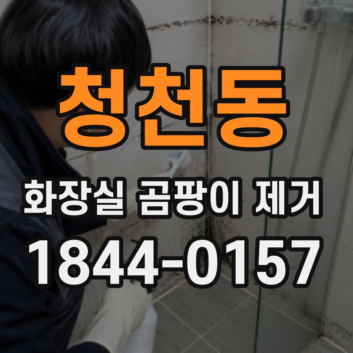 청천동 화장실 곰팡이 제거
