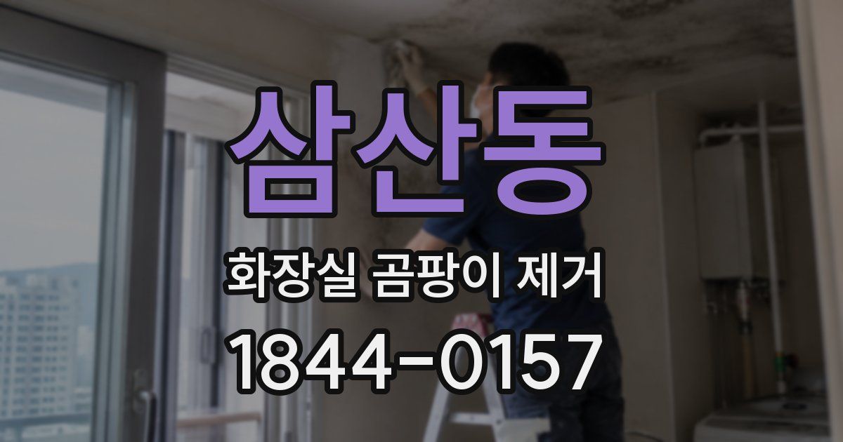 삼산동 화장실 곰팡이 제거