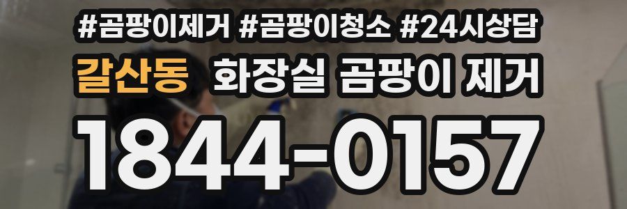 갈산동 화장실 곰팡이 제거