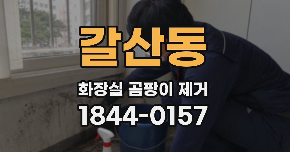갈산동 화장실 곰팡이 제거