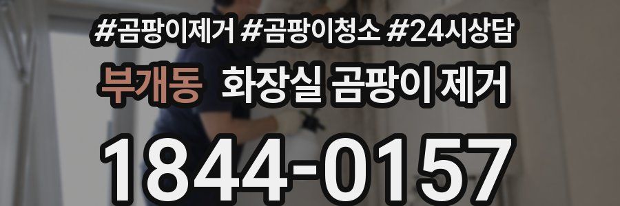 부개동 화장실 곰팡이 제거