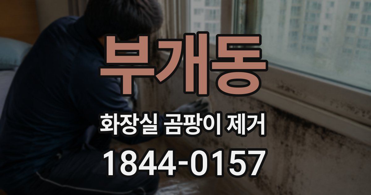 부개동 화장실 곰팡이 제거