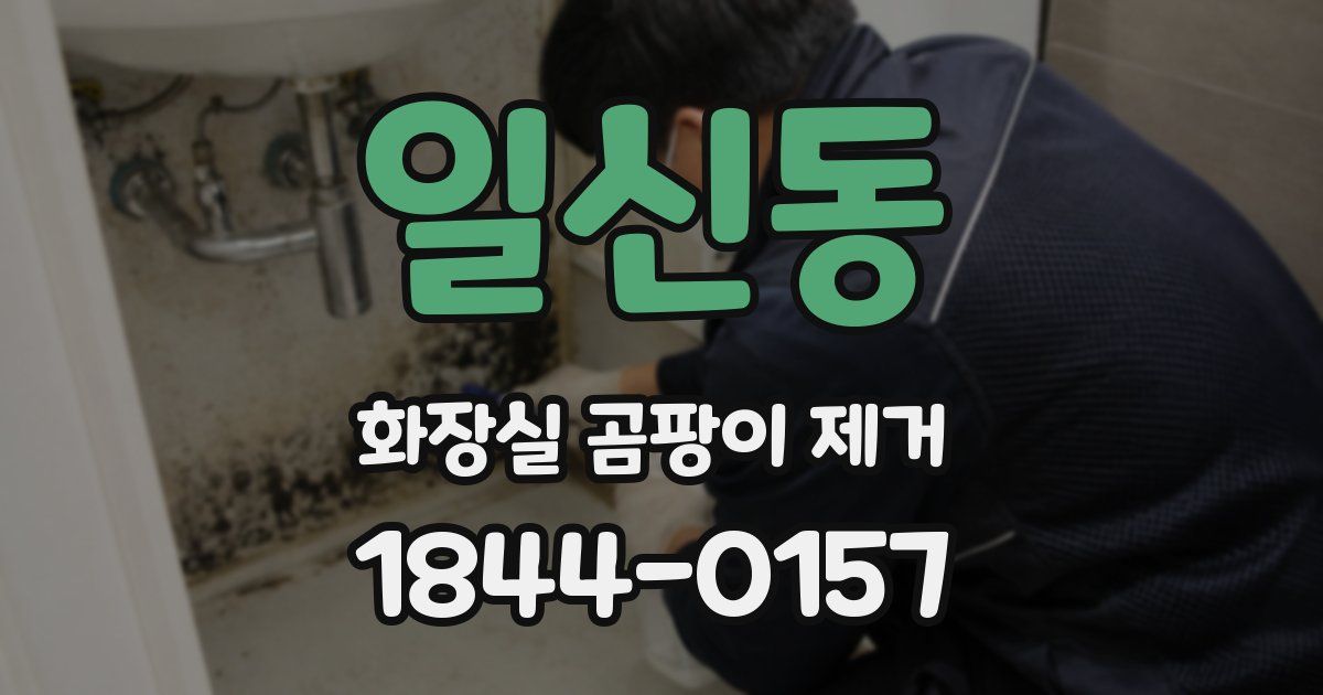 일신동 화장실 곰팡이 제거