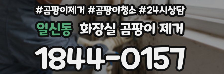 일신동 화장실 곰팡이 제거