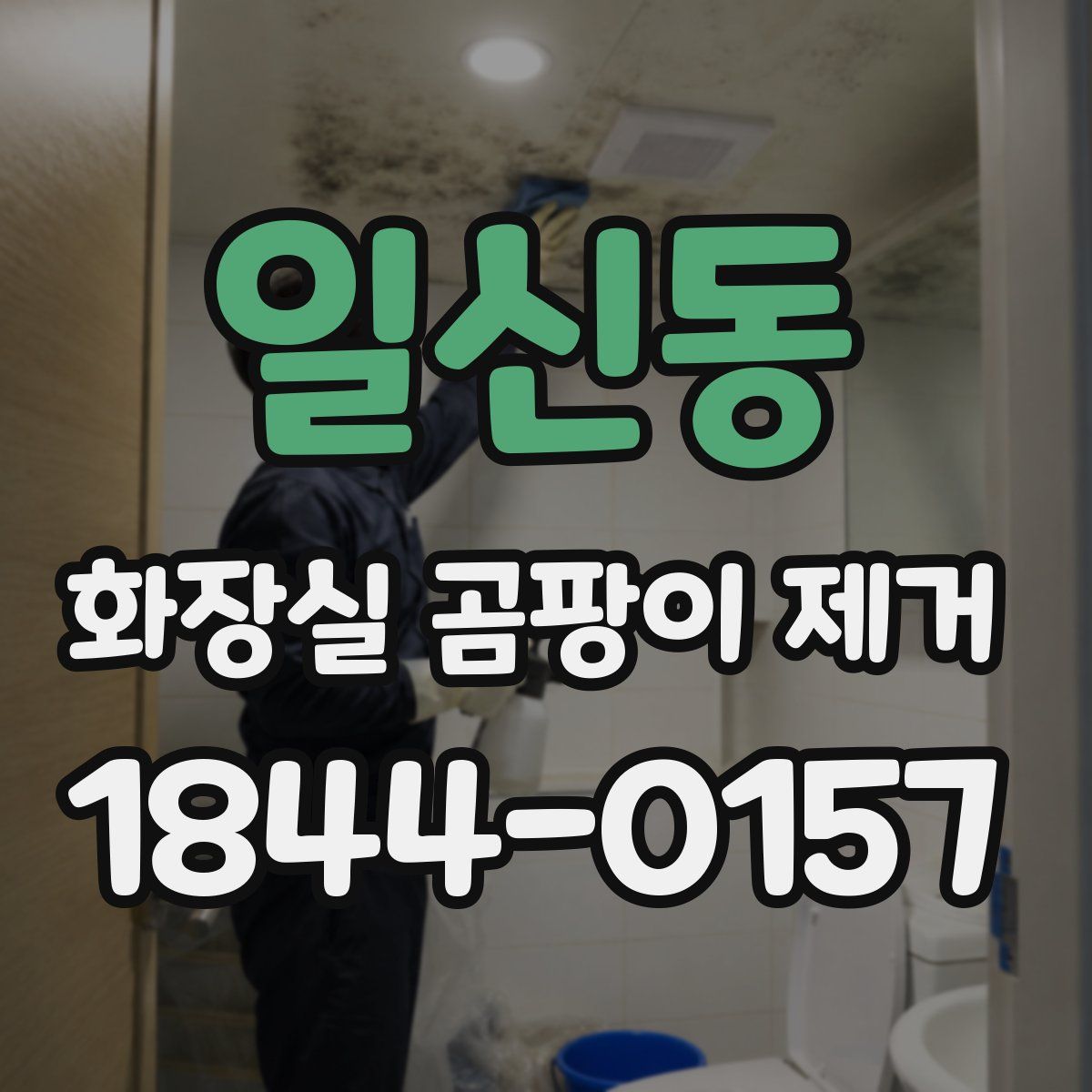 일신동 화장실 곰팡이 제거