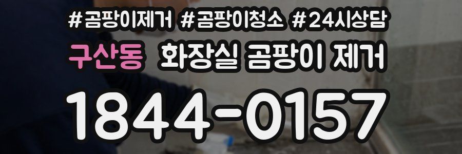 구산동 화장실 곰팡이 제거