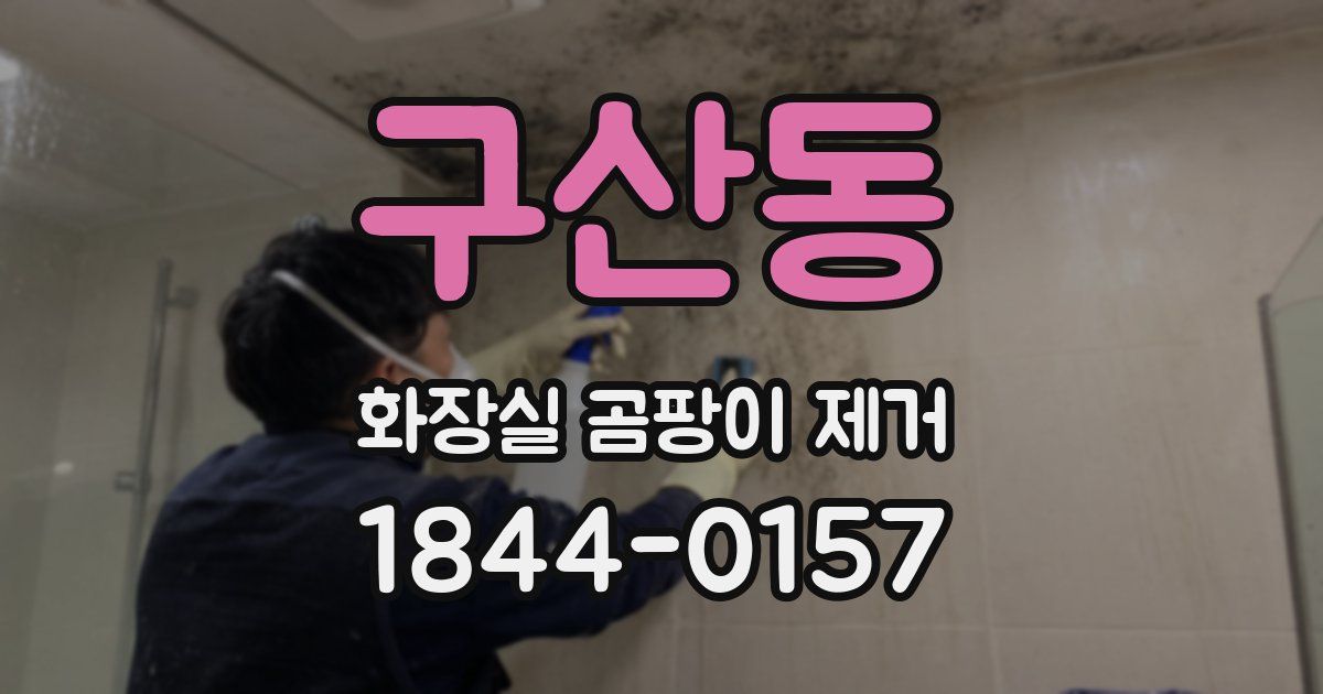 구산동 화장실 곰팡이 제거
