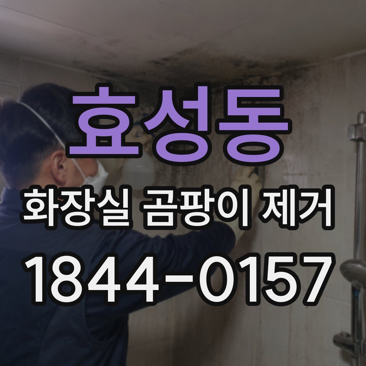 효성동 화장실 곰팡이 제거