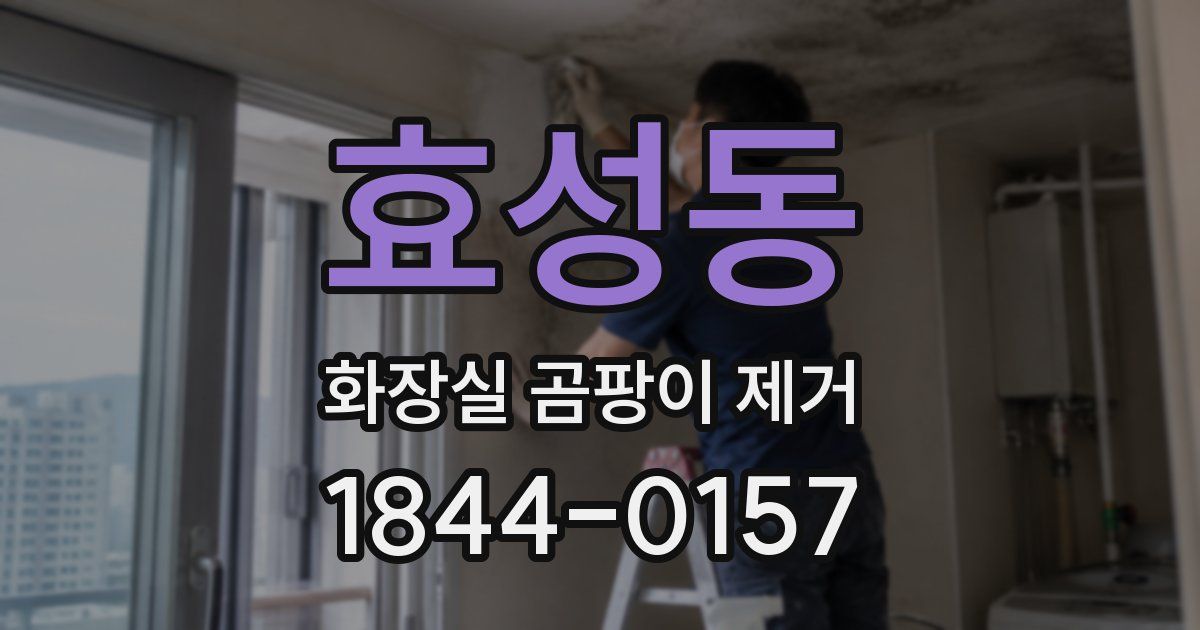 효성동 화장실 곰팡이 제거