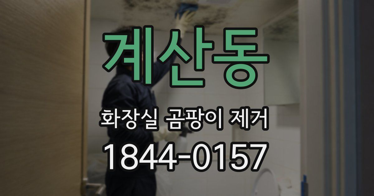 계산동 화장실 곰팡이 제거