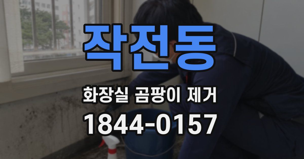 작전동 화장실 곰팡이 제거