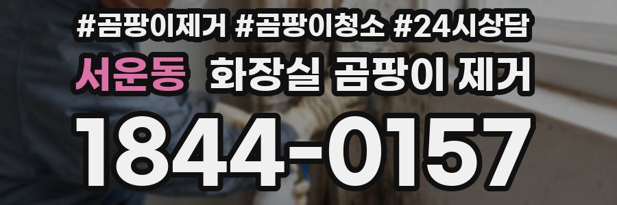 서운동 화장실 곰팡이 제거