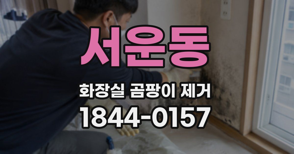 서운동 화장실 곰팡이 제거