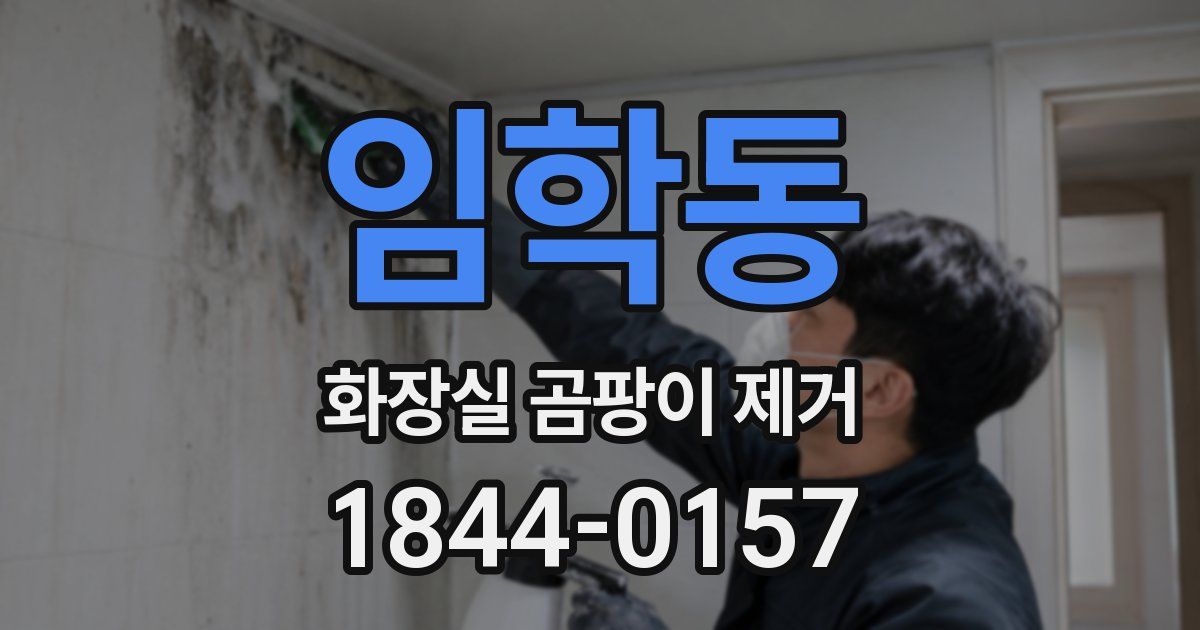 임학동 화장실 곰팡이 제거