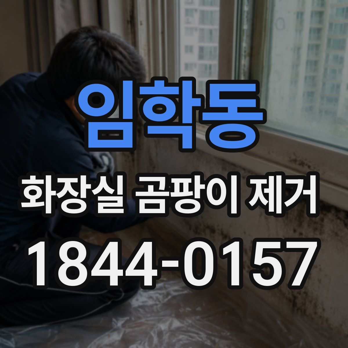임학동 화장실 곰팡이 제거