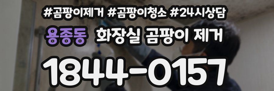 용종동 화장실 곰팡이 제거
