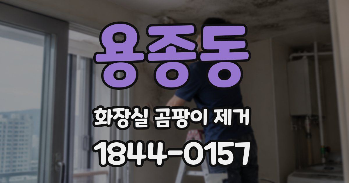 용종동 화장실 곰팡이 제거