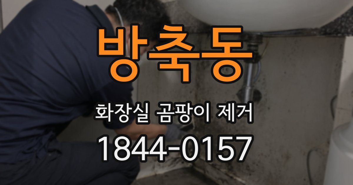 방축동 화장실 곰팡이 제거