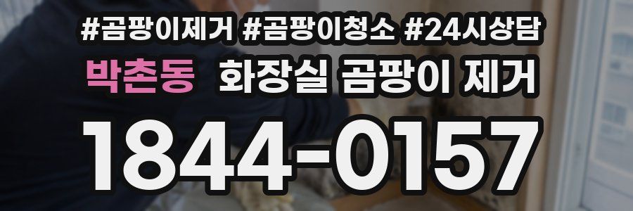 박촌동 화장실 곰팡이 제거