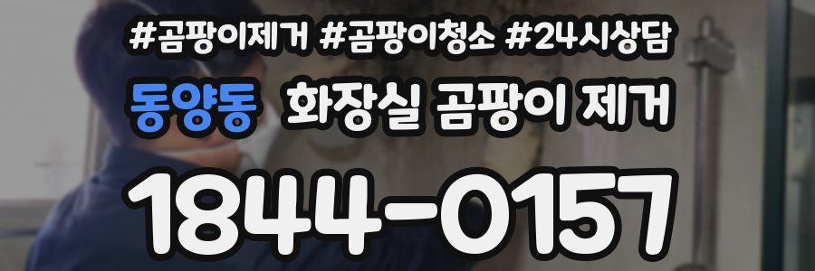 동양동 화장실 곰팡이 제거