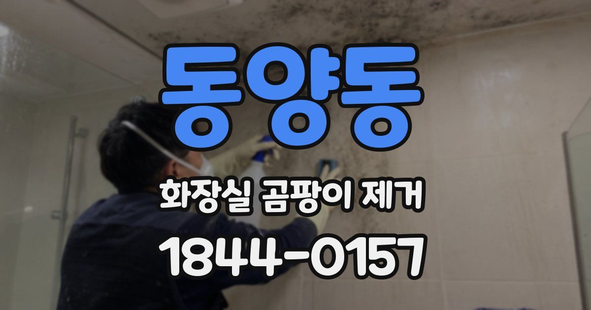 동양동 화장실 곰팡이 제거