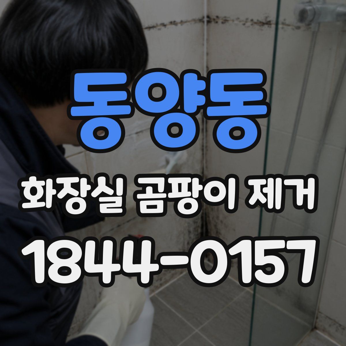 동양동 화장실 곰팡이 제거
