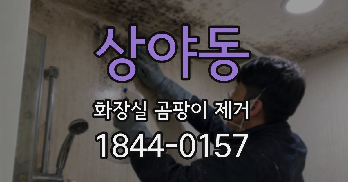 상야동 화장실 곰팡이 제거