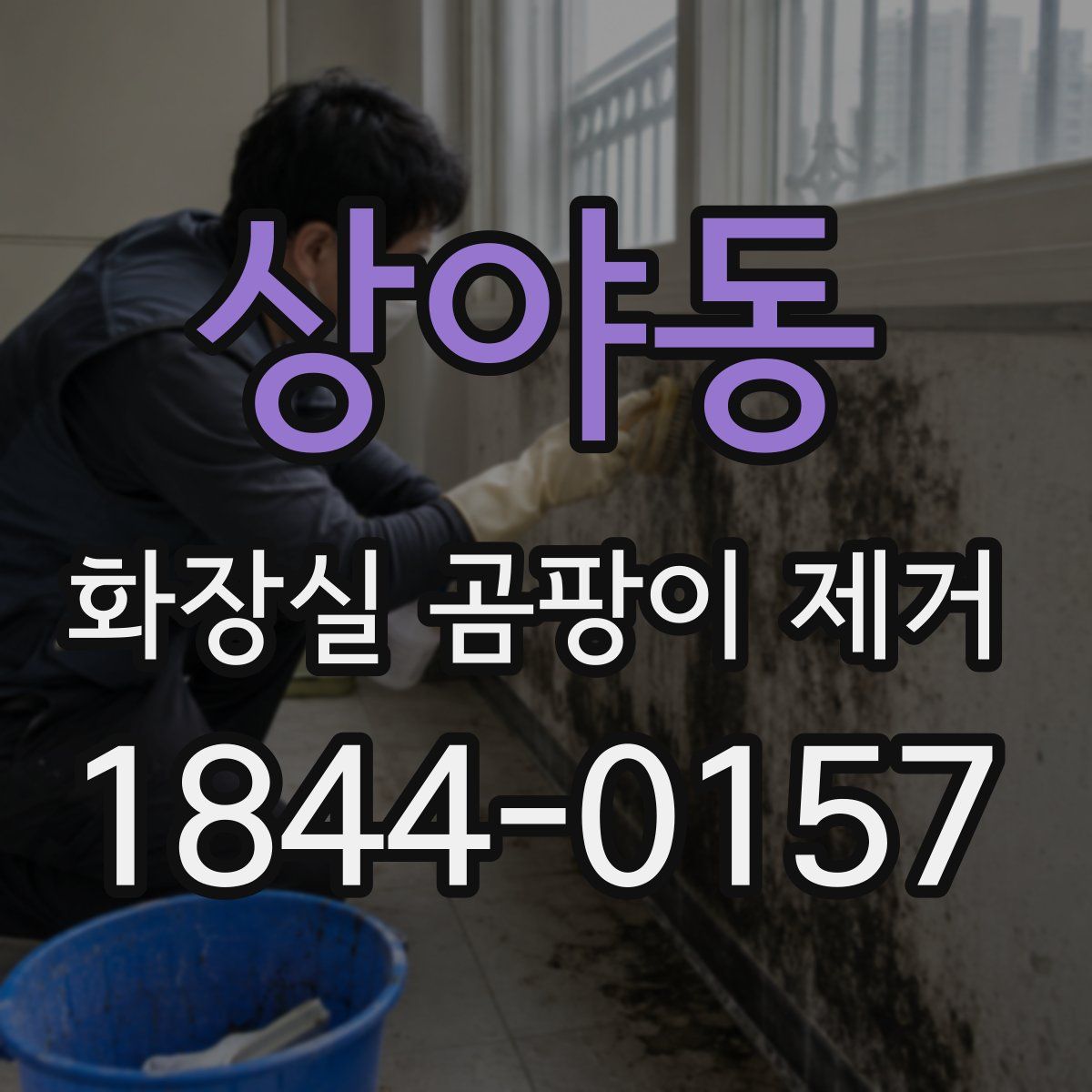 상야동 화장실 곰팡이 제거